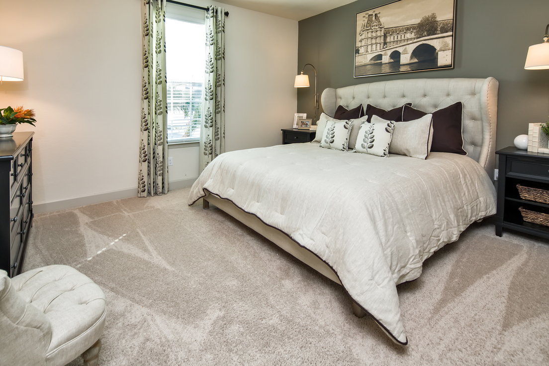 Model apartment unit bedroom with king bed, carpeting, and accent wall