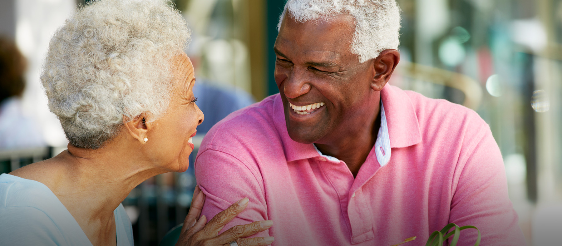  55+ Apartments in Trinity, FLThe Retreat at Trinity 55+ Apartments