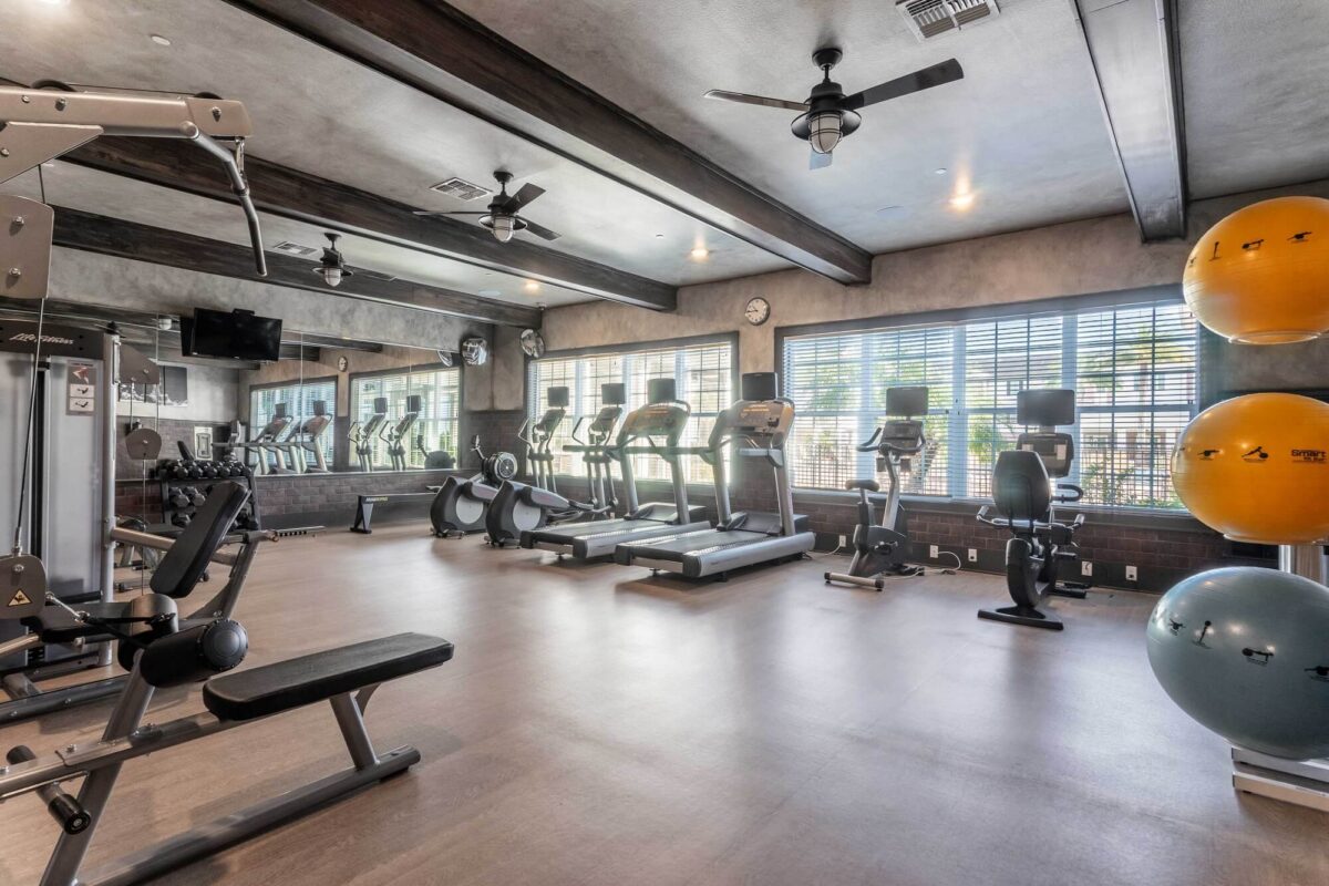 Modern fitness center with treadmills, exercise bikes, weight machines, benches, and large mirrors. Three exercise balls are stacked in the corner by large windows letting in natural light. Ceiling fans are overhead.